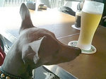 もっちろん!の生ビール♪
