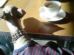 ランチには、コーヒー or 紅茶付