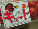 完熟ミニトマト「キュート」