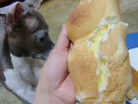 クリーム入り