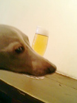 生ビール