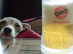 BINTANG
