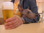 もっちろん!、生ビール♪