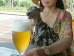 冷えたビールが美味しい〜♪