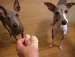 Kartoffel食べたいっ!