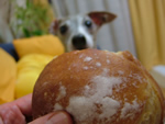 Kartoffel食べる?