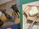 黄金のチーズケーキ