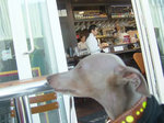 テラス席にて-1