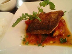 日替りランチ