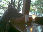 店内にて-1