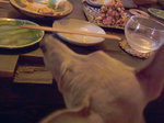 店内にて-3