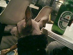 店内にて-1