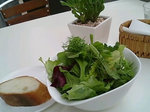 ランチサラダ