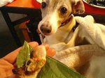 エゴマに巻いて食べま〜す