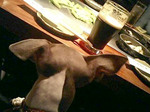 ギネス生が美味しい♪