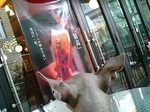 店内-2